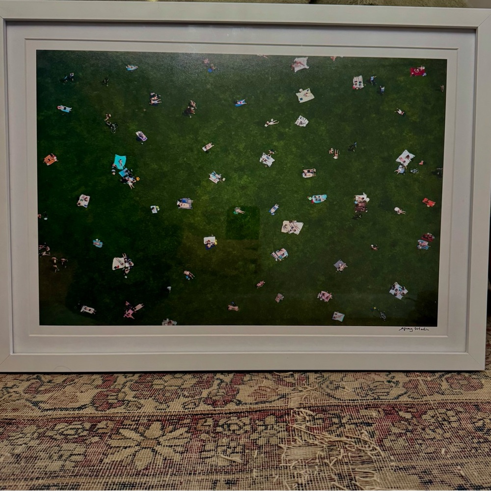 Gray Malin Central Park Lawn Signed Print - Picture 2 of 10
